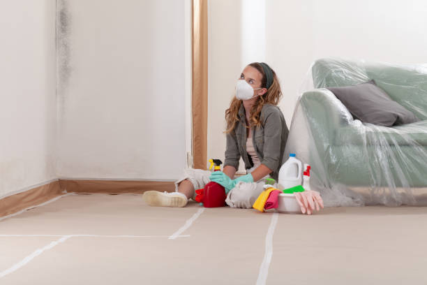 Reliable Mold Remediation contractor in Woodbury, NJ by Cheap Mold Removal