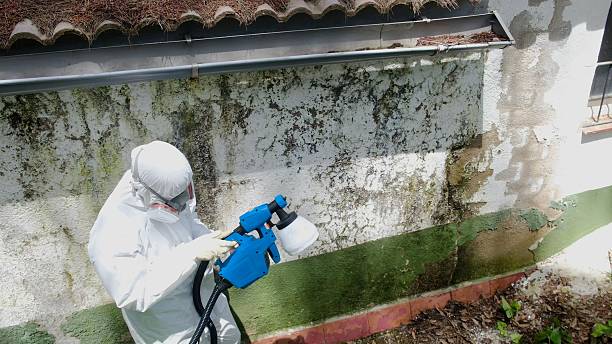Trusted Mold Testing service in Woodbury, NJ - Cheap Mold Removal